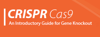 CRISPR Knockout Guide