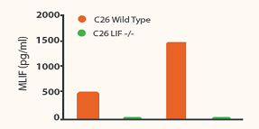 CRISPR KO Results