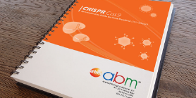 CRISPR Knockout Manual