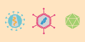 CRISPR Methods and Tools