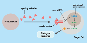 Growth Factors and Cytokines - An Introduction