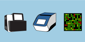 miRNA Detection