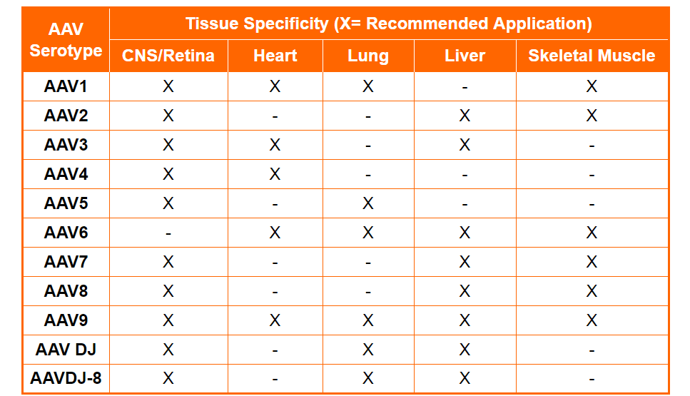AAV Serotypes