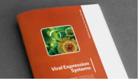 Available Lentivirus Expression Systems