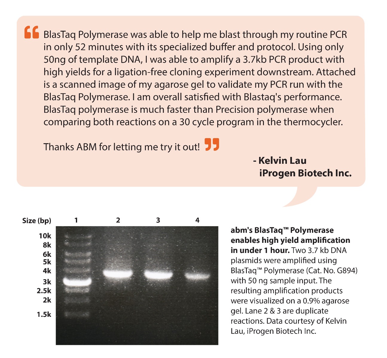 BlasTaq DNA Polymerase Testimonial