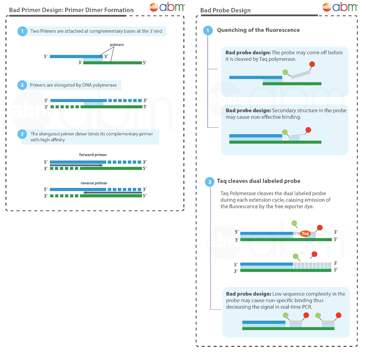 Probe Design Synthesis